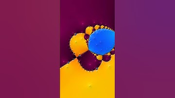 Infinite Zoom into the Beautiful Fractal ✨🌀 #Fractal #Mandelbrot #Zoom