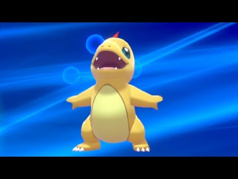 もちまるより可愛いポケモン日記 ヒトカゲ リザード リザードン Pokemonswordshield Shinypokemon Youtube