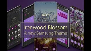 Ironwood Blossom Theme screenshot 5