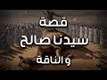 نبيل العوضي قصة سيدنا صالح و الناقة 