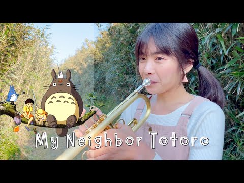 龍貓組曲(豆豆龍) - 宮崎駿