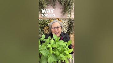 Comment BLOCKER and I’ll DM the link to my soil blocking equipment and “Seed Starting Made Easy” cou