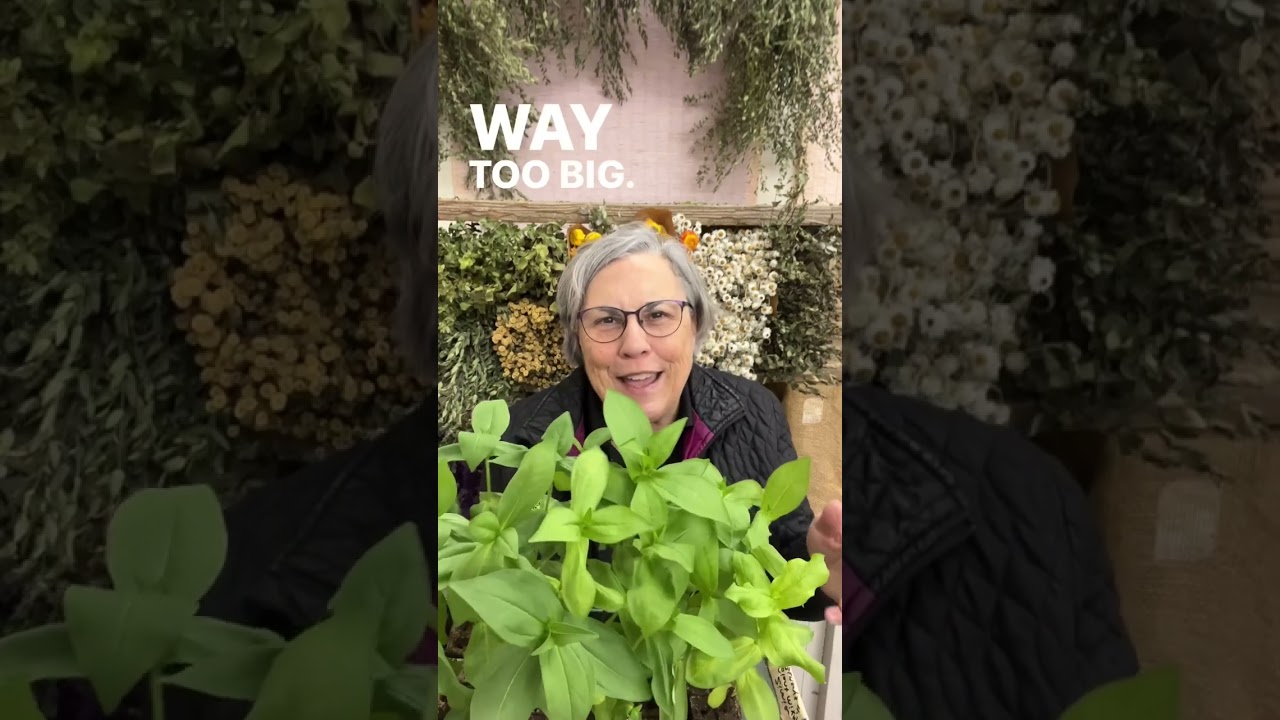 Comment BLOCKER and I’ll DM the link to my soil blocking equipment and “Seed Starting Made Easy” cou