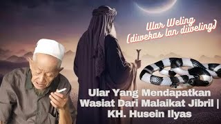 The Snake (Weling) Who Got a Will from the Angel Gabriel || KH. Husein Ilyas Mojokerto