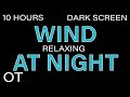 NIGHT WIND Sounds for Sleeping| Relaxing| Studying| BLACK SCREEN| Real Storm Sounds| SLEEP SOUNDS