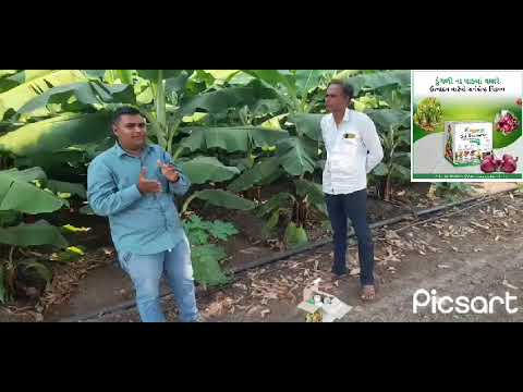Soil Booster Kit - video from Ajay Bio-Tech