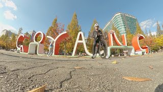  #KoreaI #ilsan Lake Autumn View..