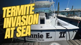 Termites Attack $500k Boat - Will It Survive?