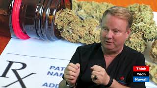 Out of the Shadows (Cannabis Chronicles)