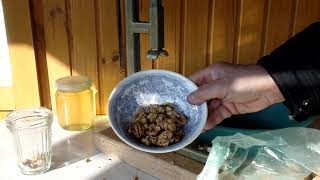 Вкусный и полезный рецепт для здоровья грецкие орехи в меду со своей дачи Вкусный и полезный рецепт для здоровья грецкие орехи в меду со своей дачи