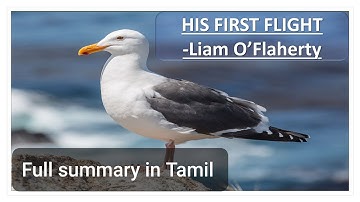 My First Flight | Liam O