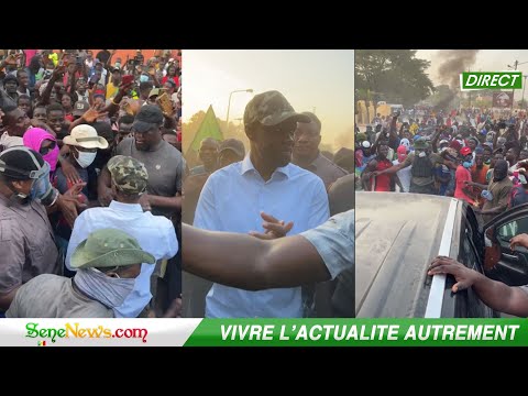 🚨DIRECT-LIVE : Suivez la promenade de Ousmane Sonko dans les rues de Ziguinchor (vidéo)