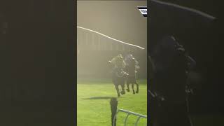 Lulamba Does The Business On Chase Debut  horse horseracing racingtv sport