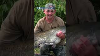 Attacked by a giant Catfish! - ‘Carp Adventures France’ on FishingTV