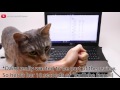 End of video