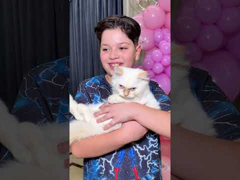 كل قطة بحجم صاحبها مضحك سيجما