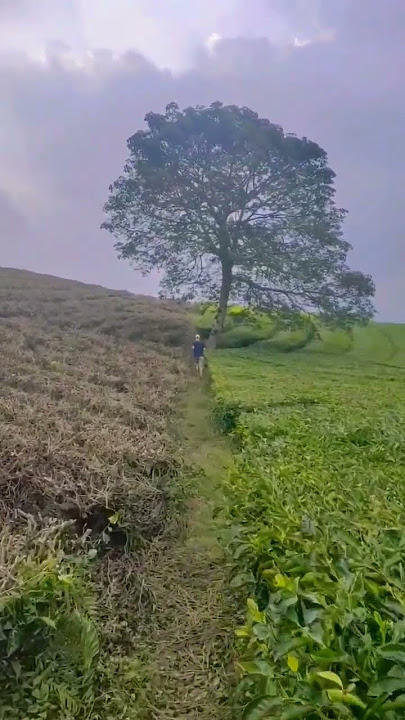 Sisi buruk dan baik