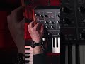 Turning moments into soundtracks… one chord at a time. 🎬🎶 #Moog #synthesizer #soundtrack