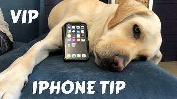 How to Type 3 Times Faster in Voiceover on Your IPhone - touch typing