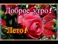 Доброе утро лето! Жизнь прекрасна! Хорошего дня! Музыкальная открытка С добрым утром для друзей.