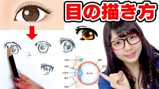 えっちゃんねるの結婚や旦那の噂はある 年収などwiki風プロフ 絵 イラスト の描き方も エンタがセロトニン