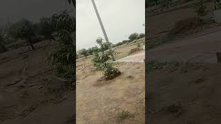 Funny video #army #indianarmy #armylover #motivationalvideo #lifetruth #armylife #lifelessons #fummy