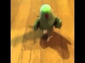 Walking Like Beyonce