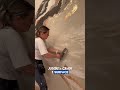 Stucco murale #btp #renovation #innovation #stucco