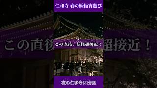 仁和寺 春の妖怪宵遊び、この直後、妖怪大接近!(実写)|Ninna-ji Spring Yokai Night Stroll 2026.【仁和寺】【Sacred Kyoto ASMR】