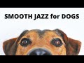 Smooth JAZZ for DOGS | 12 Hours