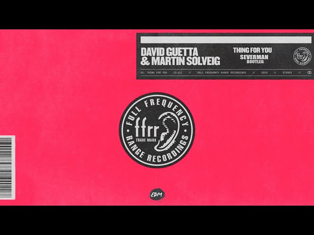 David Guetta & Martin Solveig - Thing For You (Severman Bootleg)