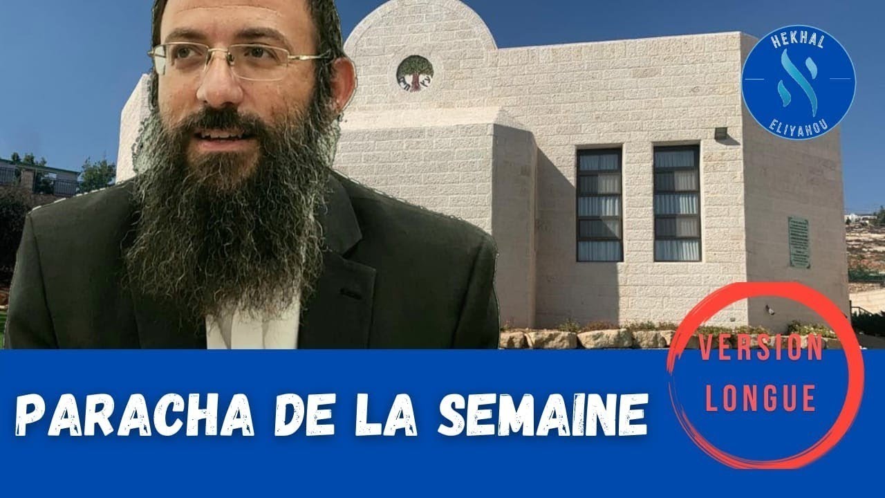 Parachat Beha'alotekha : La Menora par le Rav Ariel Elkouby