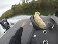 Falcon 205 Bassboat with 250 SHO top speeds!  78-80 mph loaded!  1 of 4 videos