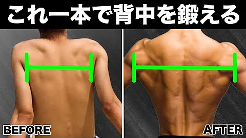 まめたま 背中