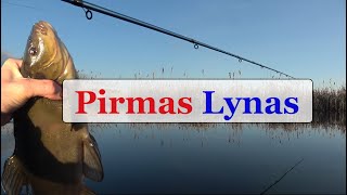 Pirmas Lynas - Gabrielius Ser