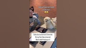 Vorig jaar hadden we de allerleukste bezoeker in #Calculus1 #mathwithprofessorv #calculusvideos
