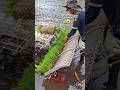 "Begini Cara Petani Modern Tanam Padi Cepat & Presisi 🚜" #shortsvideo #gematifarming #pertanian