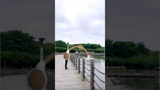 The human body transports water, greening the desert is funny special effects desert greening