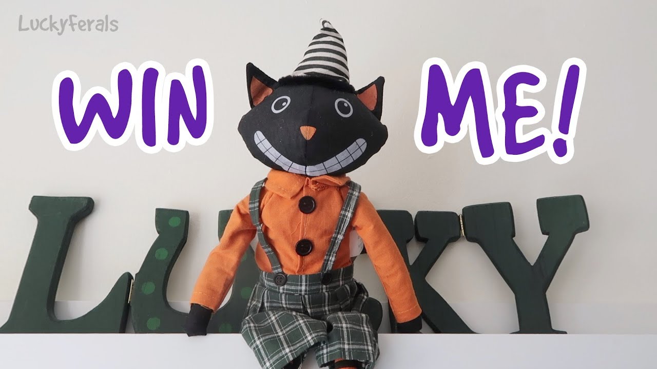 funny cats sleeping in weird positions compilation 2014 funnyplox Win This Black Cat Shelf Sitter! Black Cat Awareness Month Giveaway!