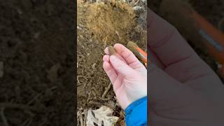 Finding a BULLET near an elementary school!