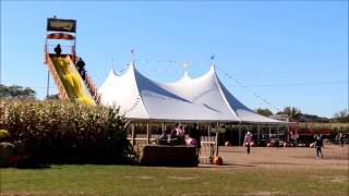 Twin Cities Harvest Festival (Corn Maze)  Fall 2015. Minnesota
