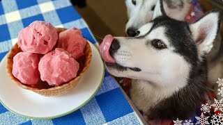 Strawberry Banana Ice Cream For Dogs!  Dog Ice Cream DIY