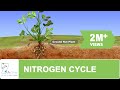 The Nitrogen Cycle: Key Processes and Impacts on Ecosystems