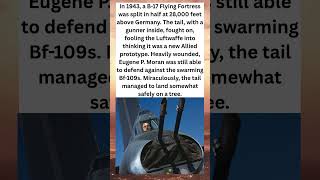 The Plane Split in Half… But Kept Fighting 😳- Facts with Plank