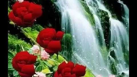 💗 Likecoin – Coins for Likes: https://likecoin.pro/@bitcoinl1/gxq4/gtg3