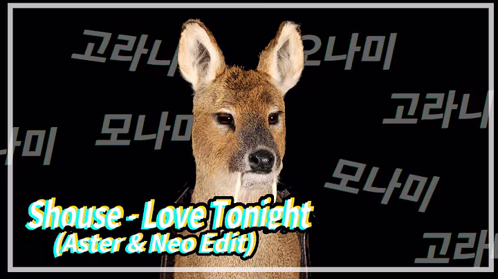 [클럽음악]Shouse-Love Tonight(Aster&Neo Edit) #216