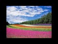 花咲く旅路 / 原由子 cover  コラボ with ひめさま