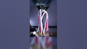 Đèn Led 12v và 24v chống nước trang trí lu chậu nuôi cá #phukienhoca