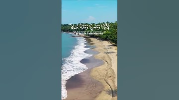 سورة المائدة الآية 114 و 115 بصوت القارئ سعود الشريم