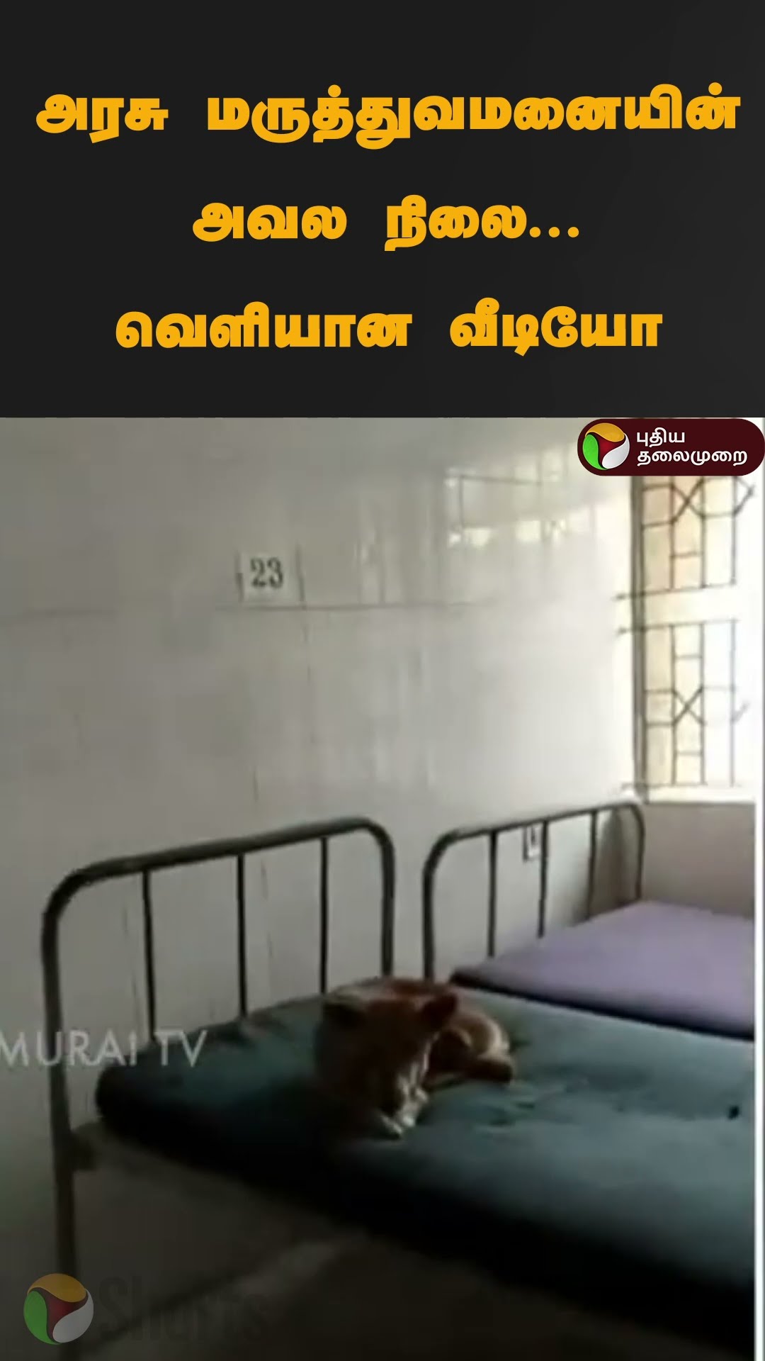 அரசு மருத்துவமனையின் அவல நிலை... வெளியான வீடியோ | #shorts | #governmenthospital | #cuddalore